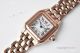 BV factory 1-1 Best Replica Panthere De Cartier 22mm Watch Rose Gold Case (2)_th.jpg